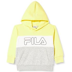 Fila Sunrise Blocked Logo Sweatshirt met capuchon voor kinderen, uniseks, Limelight-Light Grey Melange-Helder Wit