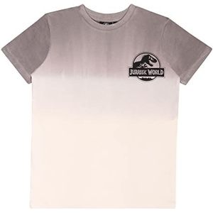 Popgear Jurassic World Ombre Dinosaur Observatie Committee T-shirt voor jongens en meisjes, grijs.