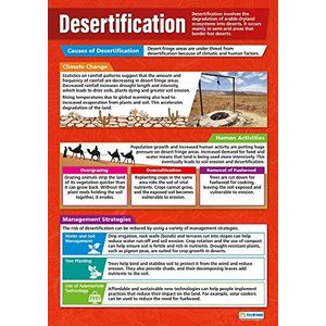 Daydream Education Woestijn | geografische weergaven | hoogglanzend papier met afmetingen 850 mm x 594 mm (A1) | poster voor geografische klaslokalen, leerbord