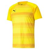PUMA Teamvision T-shirt voor volwassenen, uniseks, Geel (cyber yellow-spect)