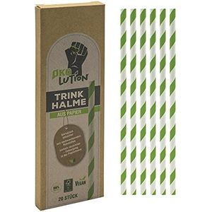 Ökolution 20 stuks FSC papieren drinkrietjes wegwerp rietjes in groen en wit - 19 cm lang - voor grillen of kinderverjaardag - FSC-papier - duurzaam verpakt