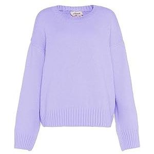 Aleva Dames Chique Ronde Hals Stijl Acryl Zachte Lavendel Maat M/L Pullover Sweater, Medium, Zachte Lavendel, M, Zoete lavendel