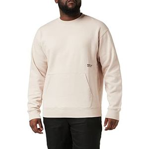 Replay Sweatshirt voor heren, Crème 820