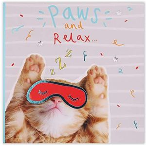 Clintons: Relax 1164025 verjaardagskaart voor dames met kattenmasker, 159 x 159 mm, meerkleurig