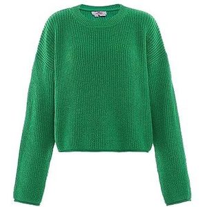 myMo Women's Femme Col Rond Ample Acrylique Vert Taille XL//XXL Pull Sweater, vert, XL