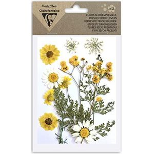 Clairefontaine 195590C – zak met 12 gedroogde bloemen – echte bloemen – doe-het-zelfkunst – scrapbooking, knutselen, creatieve kaarten – decoratie, creatieve hobby – geel