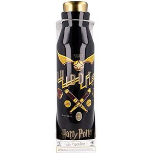 Stor Harry Potter Herbruikbare roestvrijstalen thermosfles, 580 ml