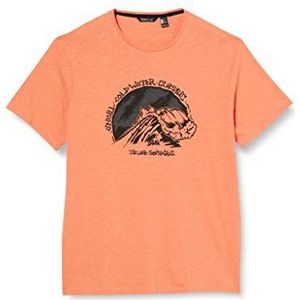 O'NEILL LM Cold Water Classic T-shirt voor heren, korte mouw, oranje (3122 canteloupe)