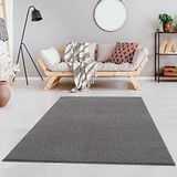 Fashion4Home Woonkamertapijt - Effen tapijt voor kinderkamer, slaapkamer, kantoor, hal en keuken - Laagpolig tapijt, lichtgrijs - Afmetingen: 120 x 170 cm