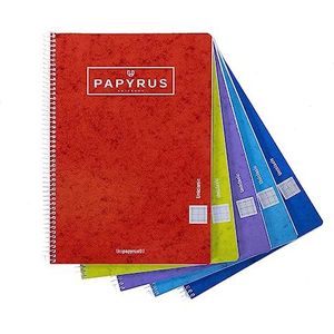 Unipapel 98441094 Papyrus 03-Uniclasic, papier, 90 g, 80 vellen, willekeurige kleurkeuze, 5 stuks