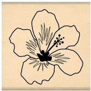 Florilèges Design FB210148 stempel voor scrapbooking, hibiscus, wit/beige, 4 x 4 x 2,5 cm