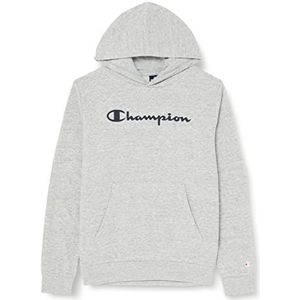 Champion Legacy American Classics Ultra Light Powerblend Terry Logo Hoodie voor kinderen en jongeren, Grijze tinten