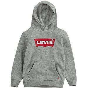 Levi'S Kids Batwing Screenprint hoodie jongens 2-8 jaar, grijs heather, 2 jaar, Grijze Heather