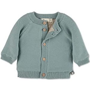 Sterntaler Baby jongensvest GOTS gebreide Star jas - babyvest - Vest met pluche voering en knoop - groen, 56, Groen