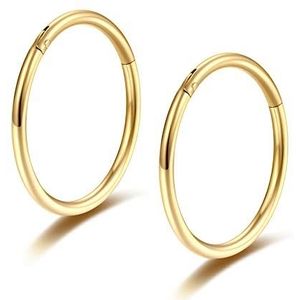 Neusring, goudkleurig, 20 g, 18 g, 16 g, 6 mm, 8 mm, 10 mm, 12 mm, 14 mm, 16 mm, roestvrij staal