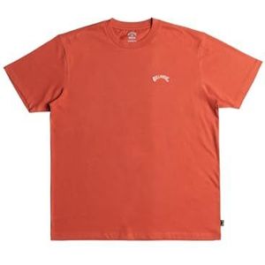BILLABONG Arch Crew Ss T-shirt voor heren, 1 stuk