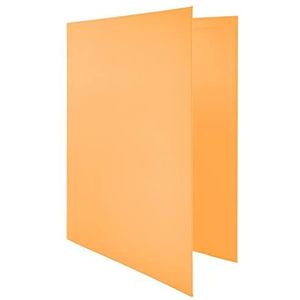Raylu Paper® Ordner met 4 D-ringen, 25 mm, A4-map met ringen voor het opbergen van documenten, A4-formaat, 33,5 cm hoog x 26 cm breed en 4 cm dikke rug (pasteloranje)