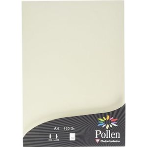 Clairefontaine 24303C, doos van 50 vellen, A4-formaat (21 x 297 cm), 120 g/m², ivoorkleurig, uitnodigingspapier voor evenementen en correspondentie, Pollen-serie, premium glad papier