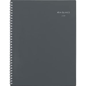 AT-A-GLANCE, Maandelijkse agenda 2023, 21,5 x 27,9 cm, groot, DayMinder, grijs (GC47007)