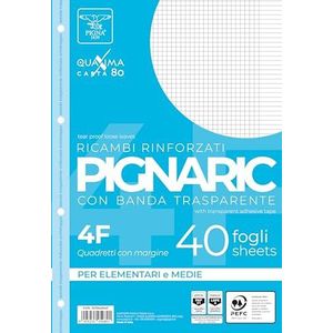 Pigna 02194594F, vervanging met versterkte band, 4F-strepen, 4 mm geruit met rand voor 4° en 5. middelgrote en hogere elementen, 80 g/m² papier, 40 vellen