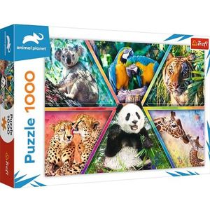 Trefl - Dierenrijk - 1000 stukjes, dierenpuzzels, dieren van de wereld, kleurrijke lijsten, puzzel, creatief entertainment, cadeau, plezier, klassieke puzzels voor volwassenen en kinderen