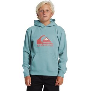 Quiksilver Big Logo Hoodie Youth Sweatshirt met capuchon voor jongens (1 stuk)
