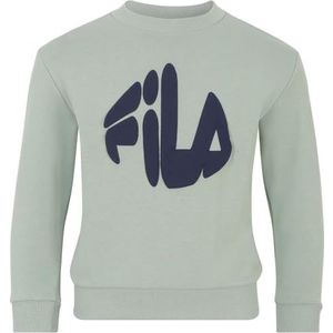 Fila Lienen Sweatshirts voor kinderen, uniseks, Groen