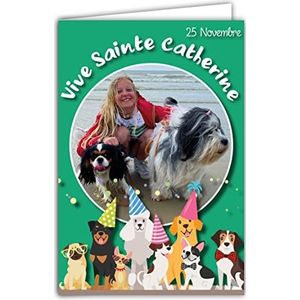 Afie 68-1307 Kaart met envelop ""Vive Sainte Catherine"" Hoeden 25 november Goed feest voor klein meisje dat van honden houdt, wandelen zand zee groen water ruilkaart voor verzamelen herstel