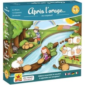 Zoe Yateka - na de storm - parcours- en strategiespel - coöperatief spel - kinderen en familie - vanaf 6 jaar