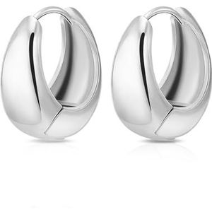 HUGE TOMATO - 18K gouden oorbellen - zilveren oorbellen - zilveren oorbellen voor dames - grote zilveren oorbellen, Sterling zilver, Geen edelsteen