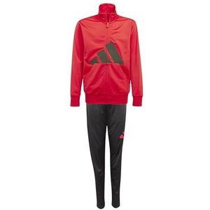 adidas Uniseks kinderen Essentials Big Logo Climacool TrackSUIT, puur robijn/zwart, 13-14 jaar