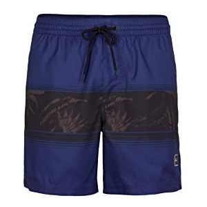 O'NEILL Cali Stripe Shorts Heren Badpak, 25011, Blauw, Multi, Small/Medium