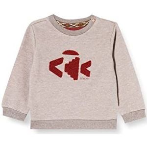 Noppies B Sweater Ls Ruvo Jongens Pullover, Ras1211 Bruin Melange - P798