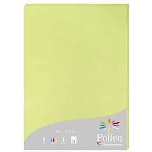 Clairefontaine 224205C Etui met 25 vellen, formaat A4 (21 x 29,7 cm), 210 g/m², kleur: Bourgeon-groen, uitnodigingspapier, correspondentie, pollen-serie, glad premium papier