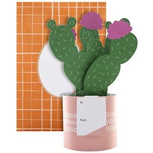 Hallmark Pop-upkaart met cactusmotief