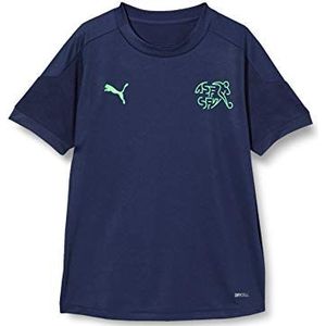 PUMA Sfv Training Jersey Jr T-shirt voor jongens, Peacoat-green mica
