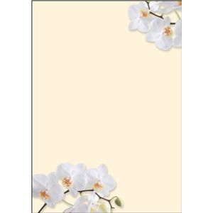 SIGEL DP904 briefpapier, 21 x 29,7 cm, 90 g/m², witte orchideeën, geel, 50 vellen,