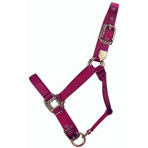 Hamilton 2,5 cm verstelbaar nylon paardenhalster, maat S van 127 tot 363 kg, wijn