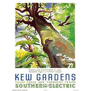 Wee Blue Coo Kew Gardens Vintage Poster, elektrische zuidboom, vogels, wanddecoratie, 30,5 x 40,6 cm