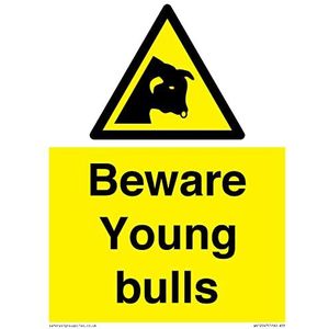 Panneau Beware Young Bulls - 150 x 200 mm - A5P