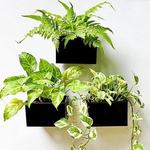 LaLaGreen Set van 3 rechthoekige metalen wandbloempotten om op te hangen voor vetplanten, 15,2 cm, voor hek, luchtplanten, zwevend tuinrek voor binnenterras