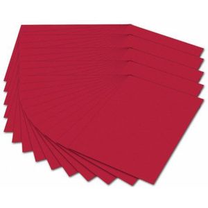 Folia Fotokarton 614/50 20-300 g/m², DIN A4, 50 vel, rood