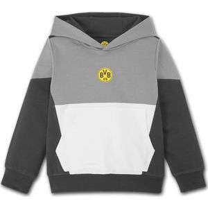 Borussia Dortmund BVB Unisex hoodie voor kinderen, Meerkleurig