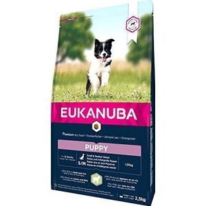 Eukanuba - Rijk aan lam en rijst voor puppy's - Gevoelige spijsvertering - DHA en calcium - Bevordert de groei - Zonder GMO, conserveermiddelen, kunstmatige aroma's - 2,5 kg
