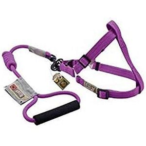 Zeus 99382 Arista Ronde M harnas en riem rood