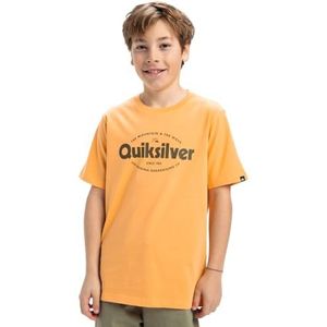 Quiksilver Ev Shape All Days Ss Yth T-shirt pour garçon