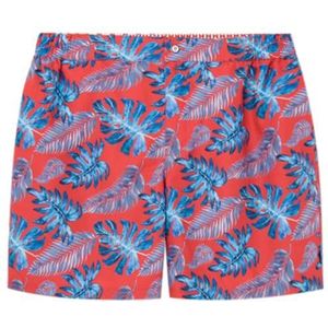 Hackett London Short Leaf pour homme, rouge (rouge), XXL