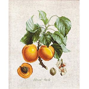 Luca-S BL22450 Set kruissteekpatroon, meerkleurig, 17,5 x 22,5 cm