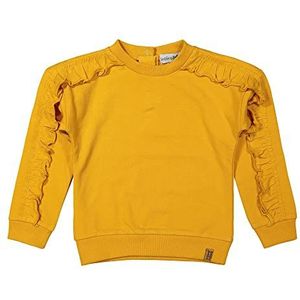 Koko Noko Pull Sweat, Ocre, 18 Mois Garçon