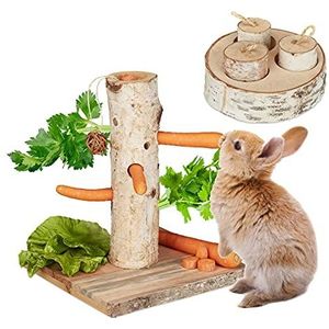 Relaxdays Set van 2 houten konijnenspeelgoed voor knaagdieren en intelligent speelgoed, accessoires voor cavia's, konijnen, natuur